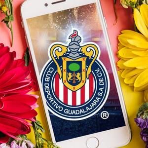 Meet your Posher, Noelia